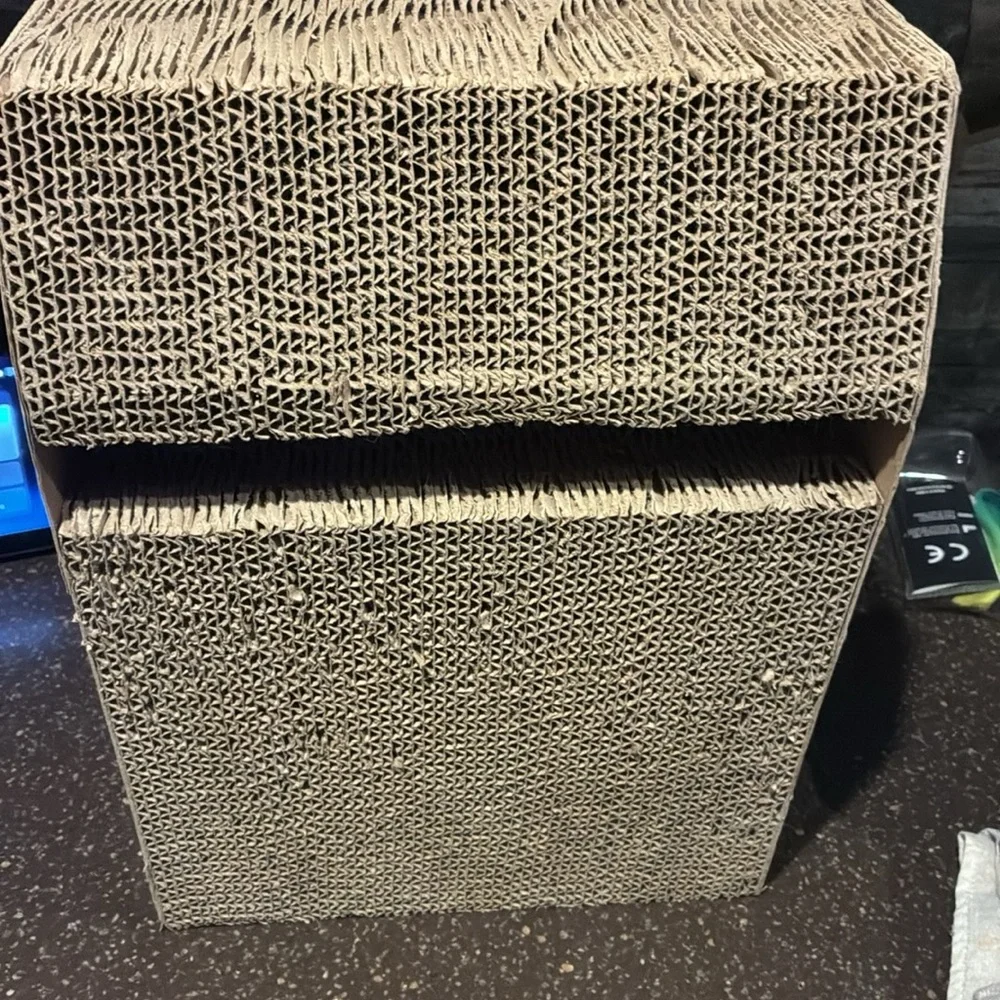 Halloween Cat Scratcher with RIP Design 😻🐾🐾